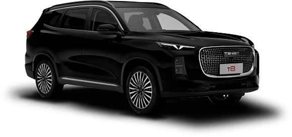 Купить TENET T8 в Новосибирске Летный микрорайон 12 – Автосалон Сибирский Автопарк